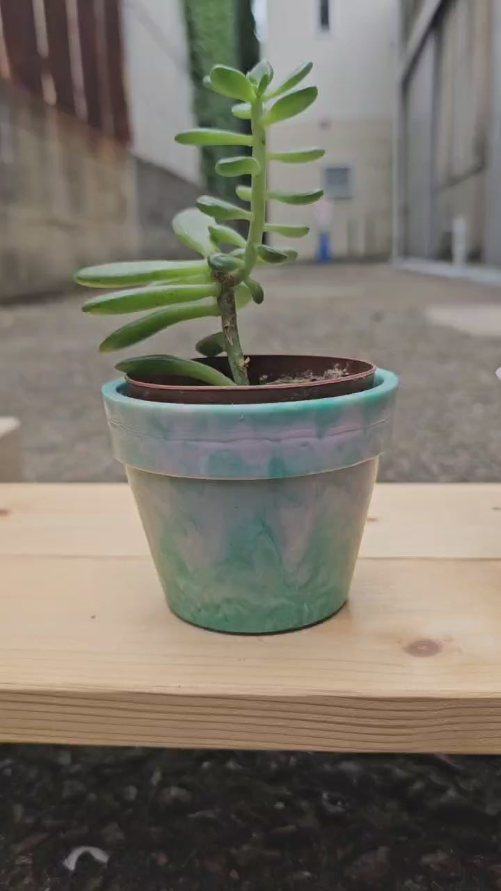 プランターカップ（多肉植物セット）【10個アソート/名入れ可能